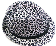 Fedora